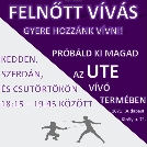 GYERE VÍVNI!