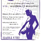 Hétvégén az Aluprof-TF-Budapest ellen játszanak röplabdásaink