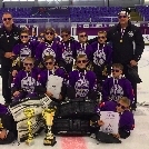 III. Skoda Schiller Purple Cup